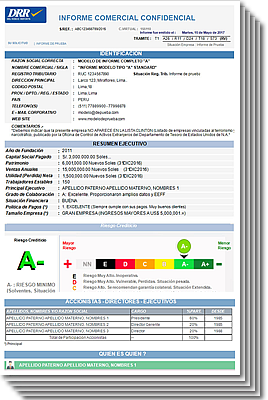 main sheet of a business report or credit report