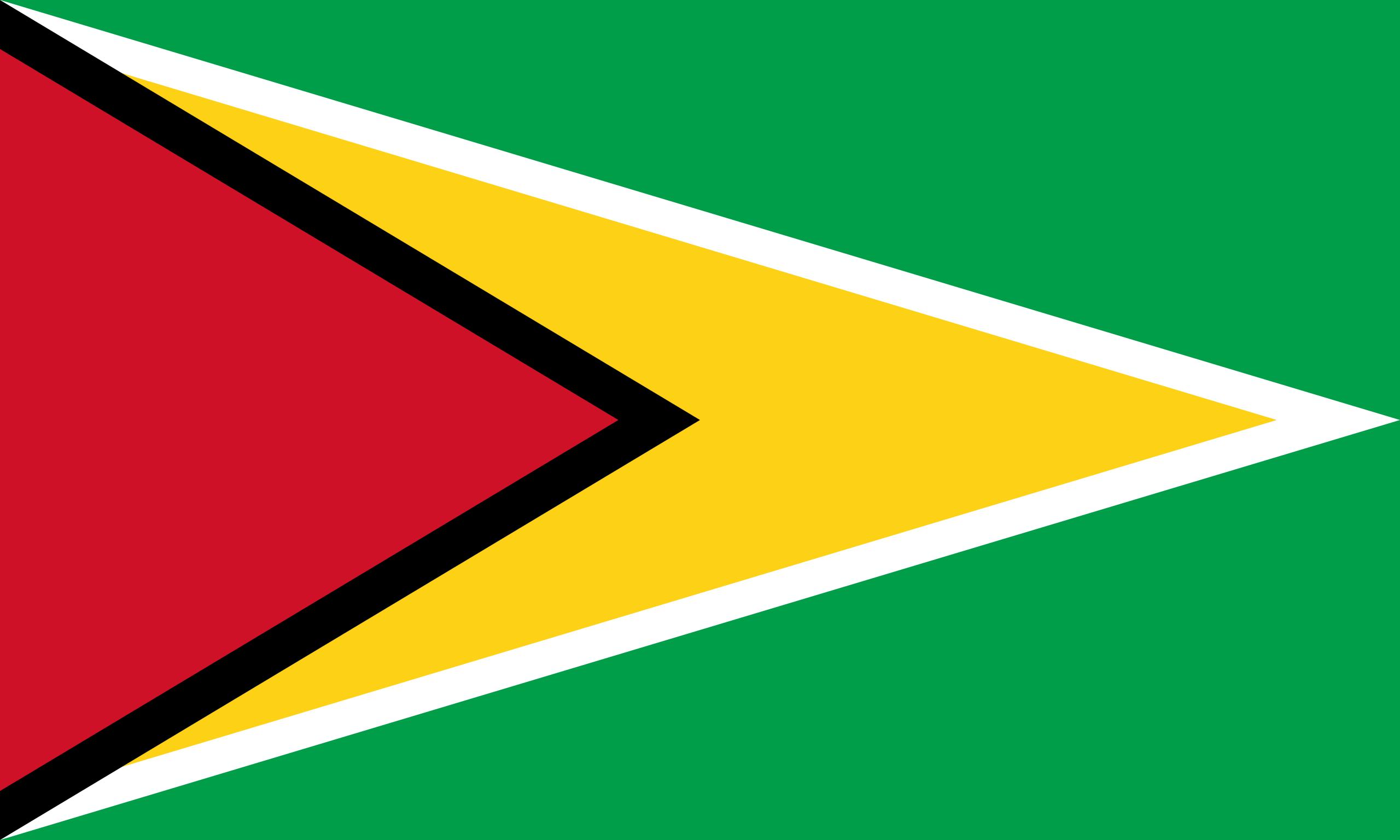 Firmenberichte von Guyana