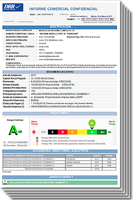 main sheet of a business credit report